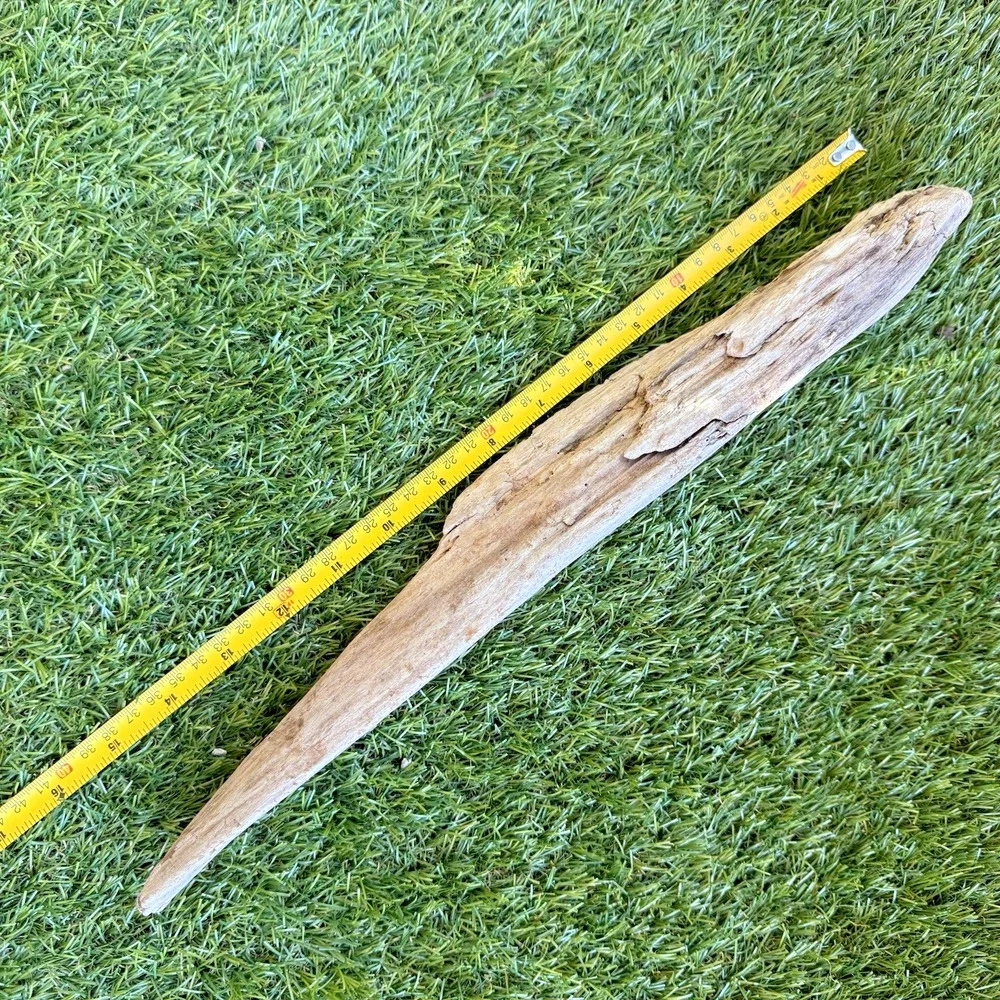 2 Natural Driftwood Pieces California Coast Rustic Beach Decor Aquarium Art